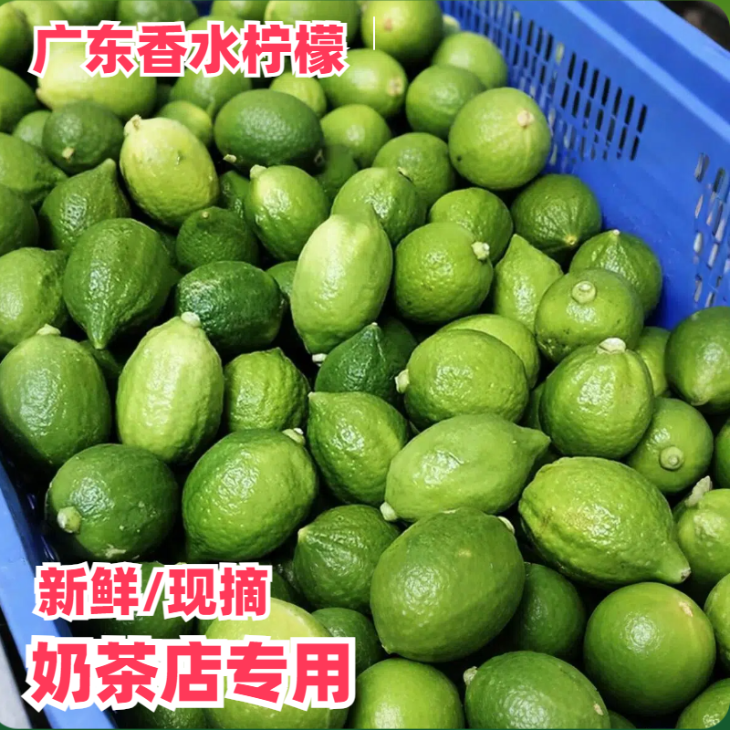广东香水柠檬无籽现摘1-9斤奶茶店专用手打柠檬茶果园直发皮薄