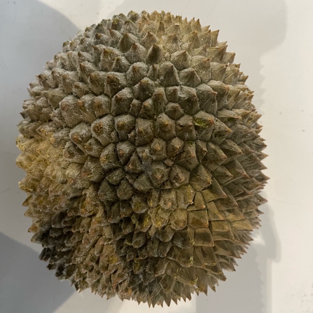 甘榜榴莲马来西亚液氮冷冻整颗带壳进口有售后