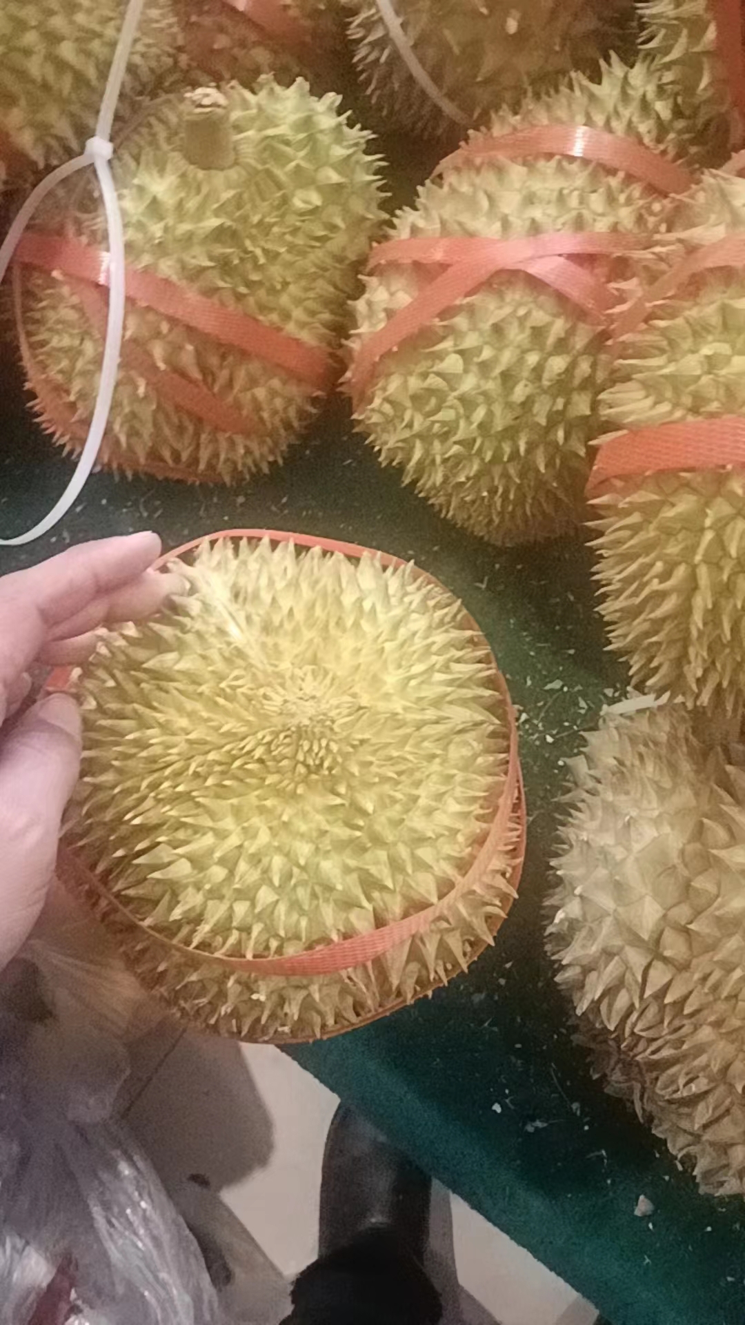 榴莲68榴莲 