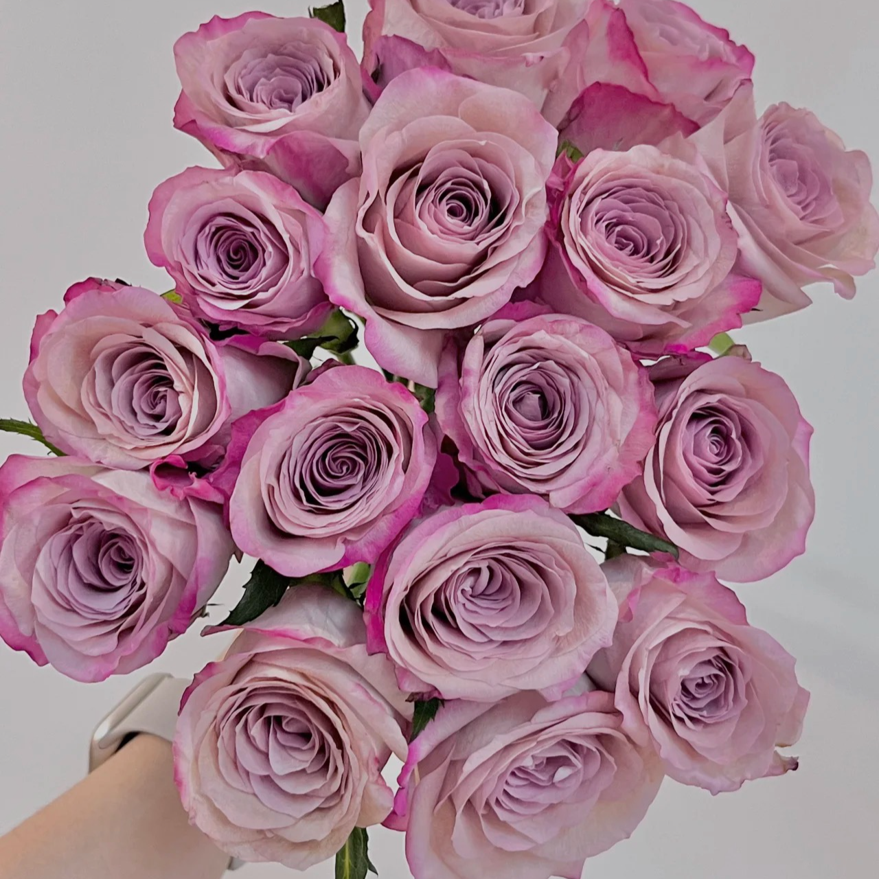 【A级气场玫瑰】批发厦门实体高端小众稀有鲜切花次日达包邮