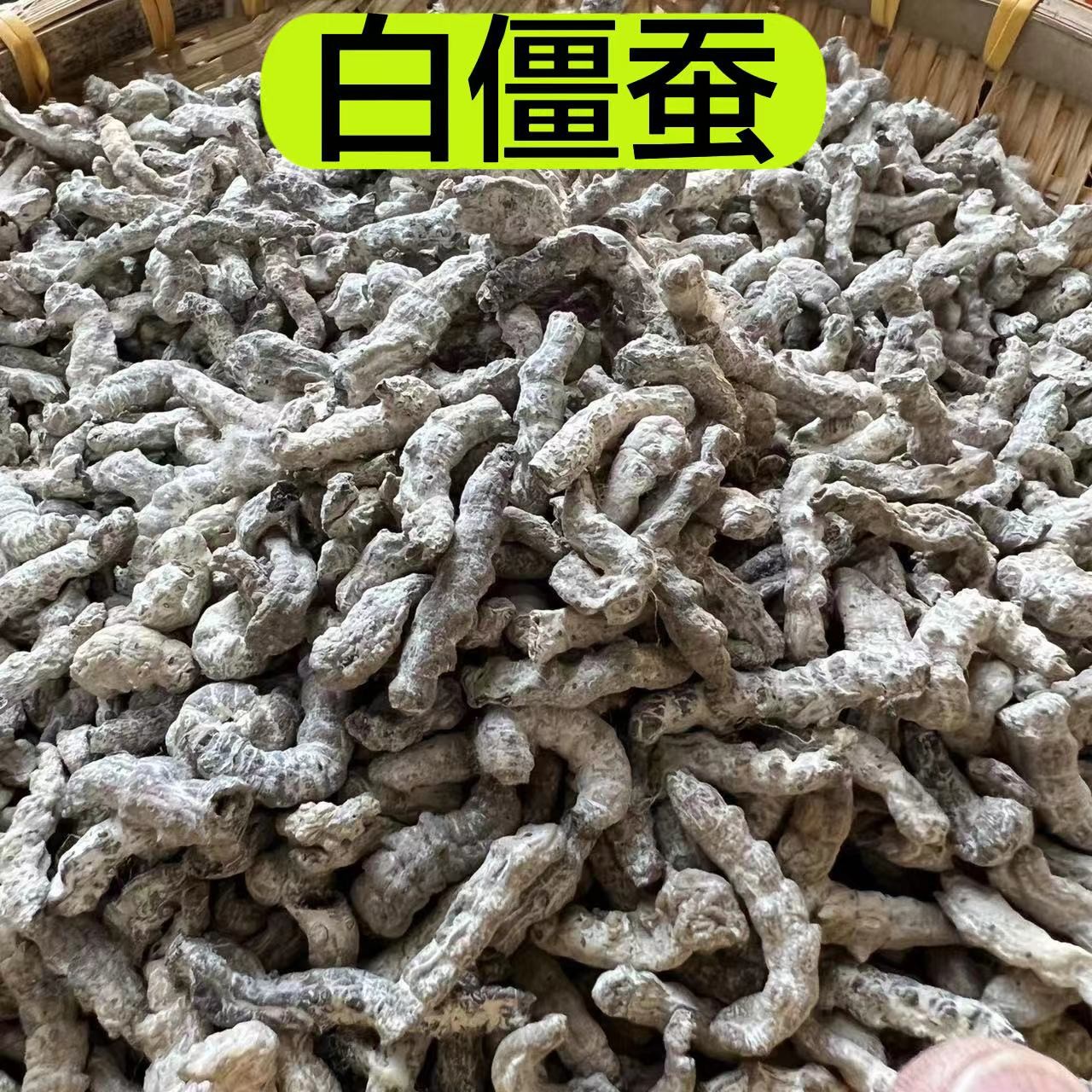 【白僵蚕】精选农家白僵蚕无熏无硫100克包邮