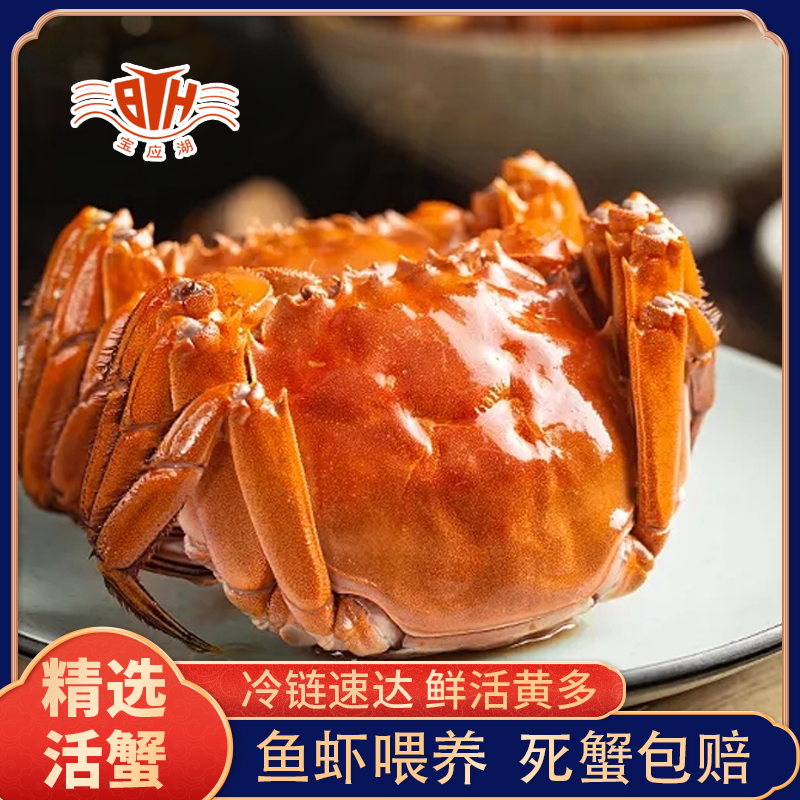 【匠心挑选】宝应湖精品大闸蟹 公3.1-2.8两 母2.1-1.9两 10只装