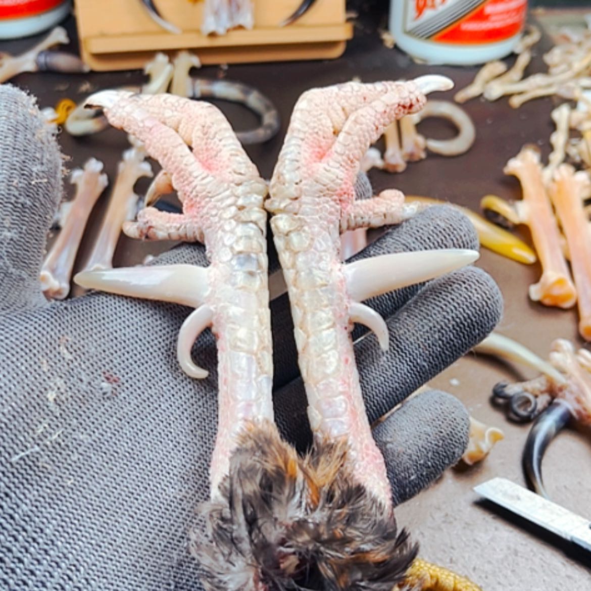 【闪购商品】我***妹创意文玩鸡爪骨一对