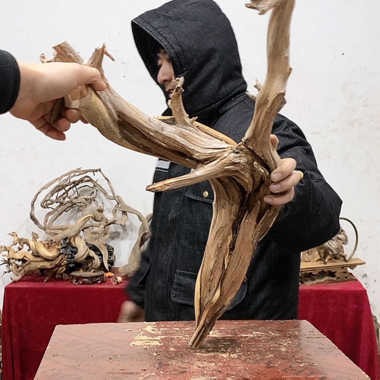 【闪购商品】柏木誉*