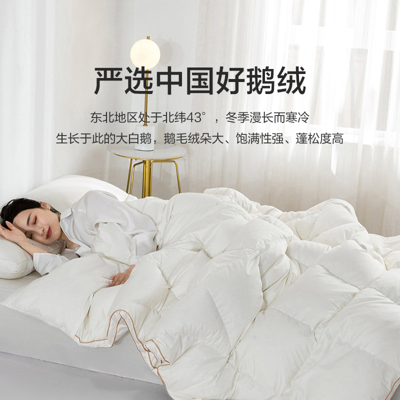 【恐龙精选】恐龙 全棉至享95白鹅绒加厚春秋被 羽绒被鹅绒被蓬松