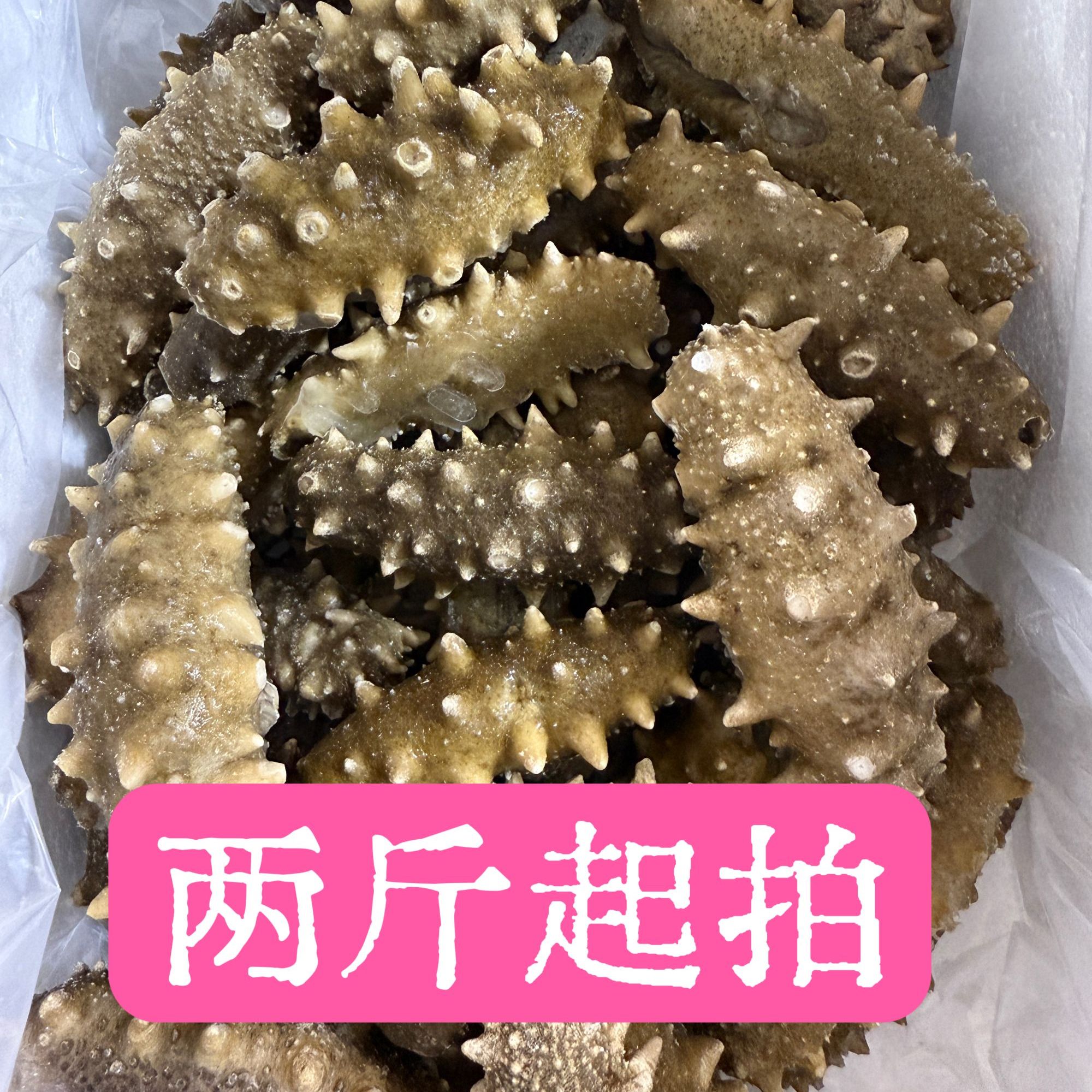 牧海客大连鲜食海参辽刺参即食海参微瑕海参2斤8-15头