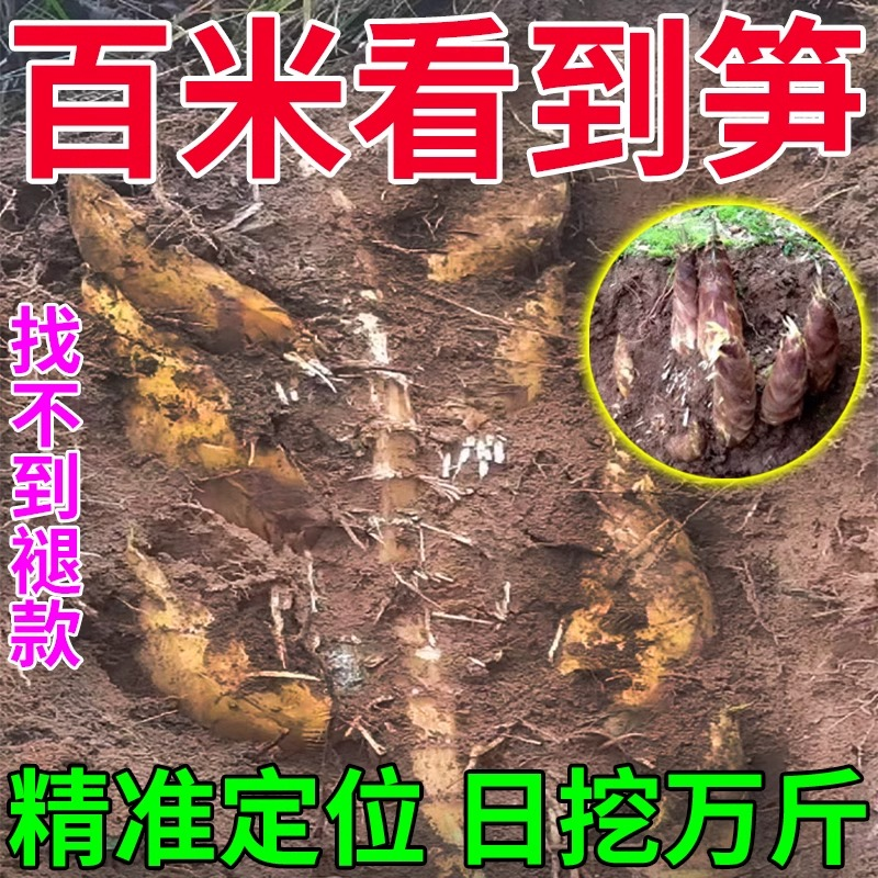 一眼看到笋】找冬笋探测仪高精度新款挖笋眼镜专用神器竹笋竹林