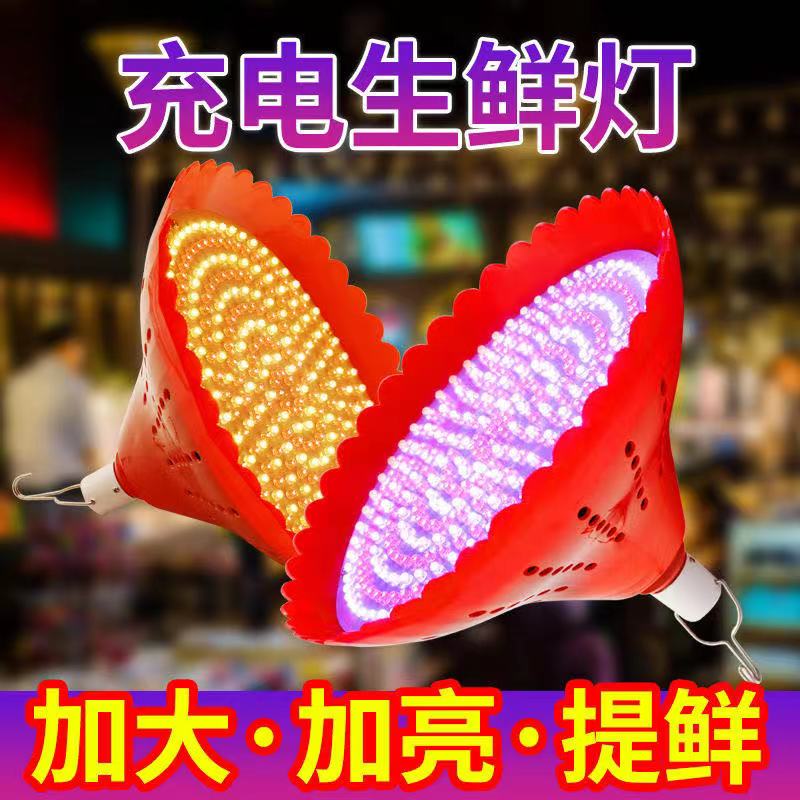 充电水果灯led生鲜猪肉灯海鲜熟食卤菜灯停电应急户外夜市地摊灯