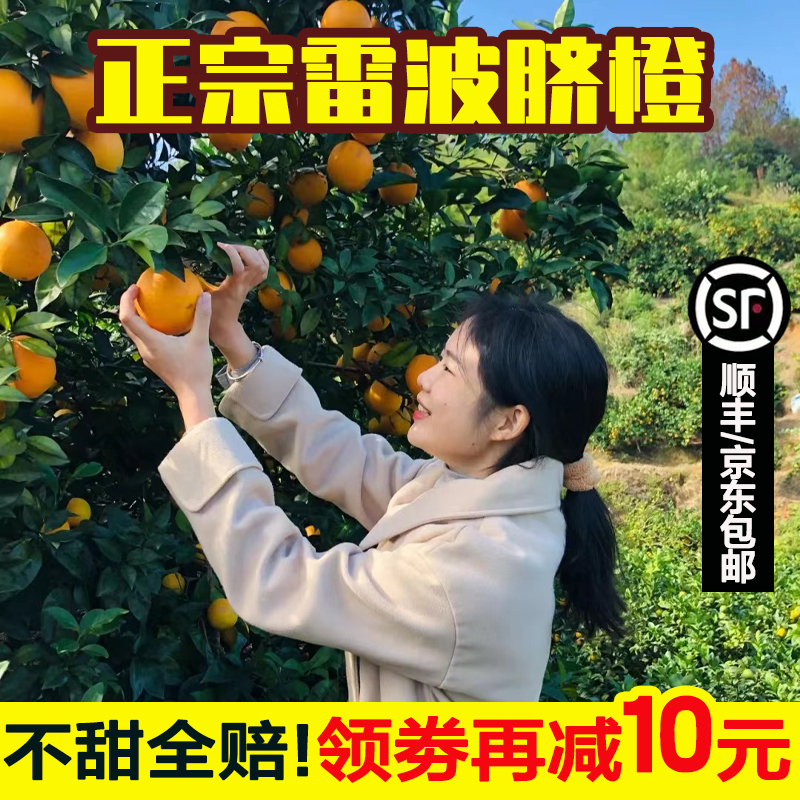 四川大凉山雷波脐橙子时令特级新鲜水果纽荷尔现摘现发高档礼盒装