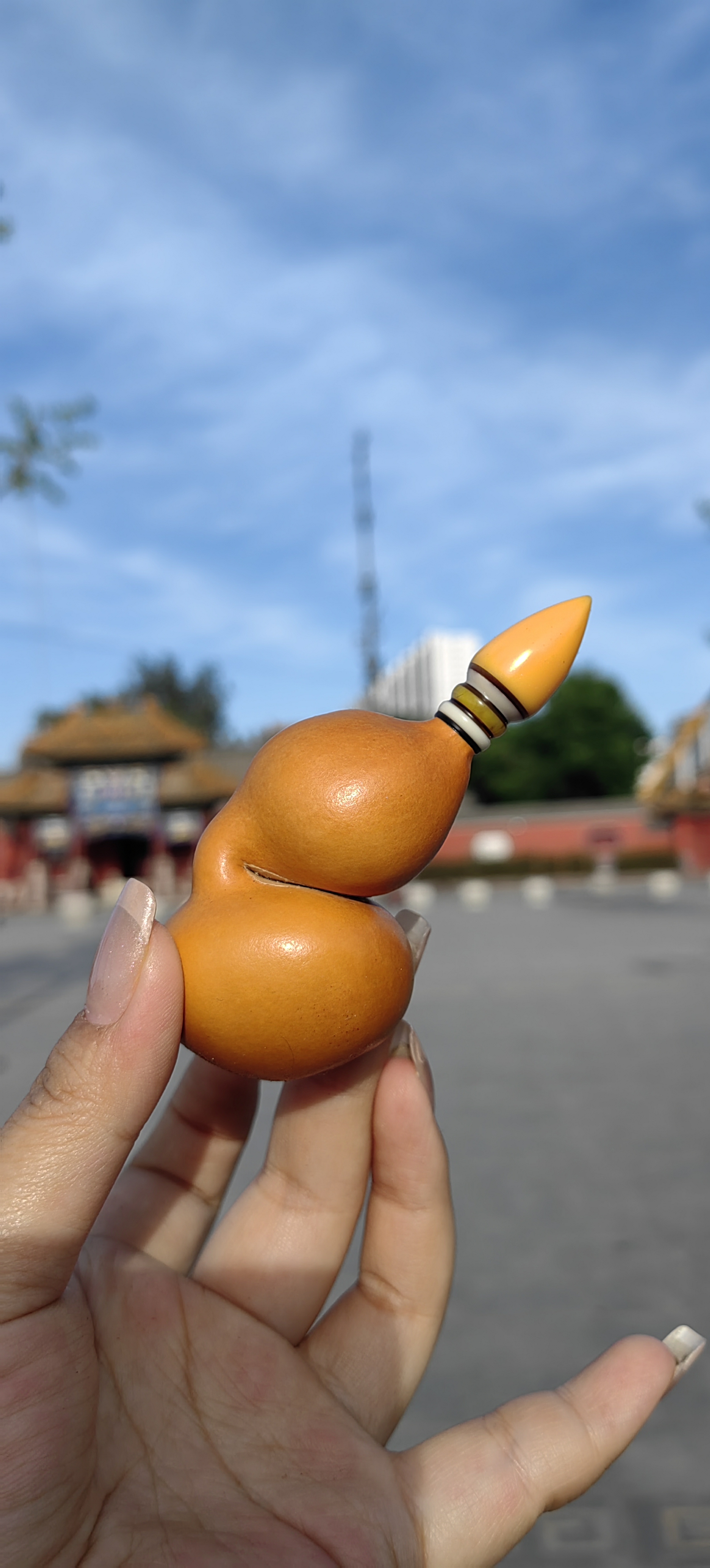 柳溪葫芦直播间专用链接（直播间专用，请勿自主下单）