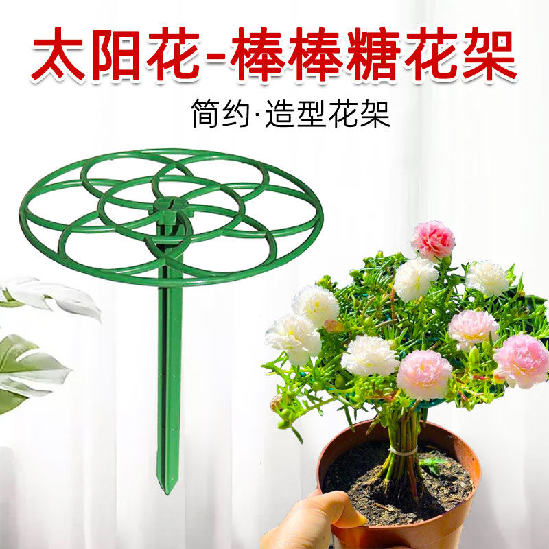 太阳花架子造型棒棒糖支架蟹爪兰铁线莲爬藤架防倒伏多层植物固定