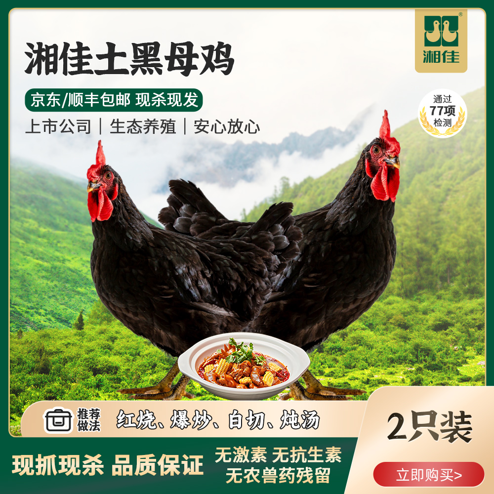【湘佳】土黑母鸡1100g本土慢养新鲜现杀现发整只净膛
