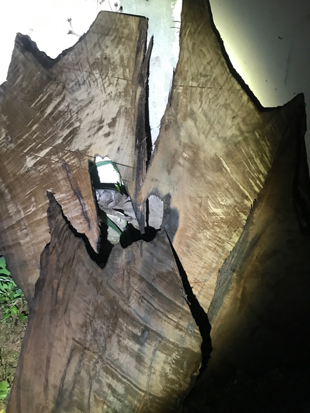 小叶金丝楠阴沉木家具板材，原材料，工艺料