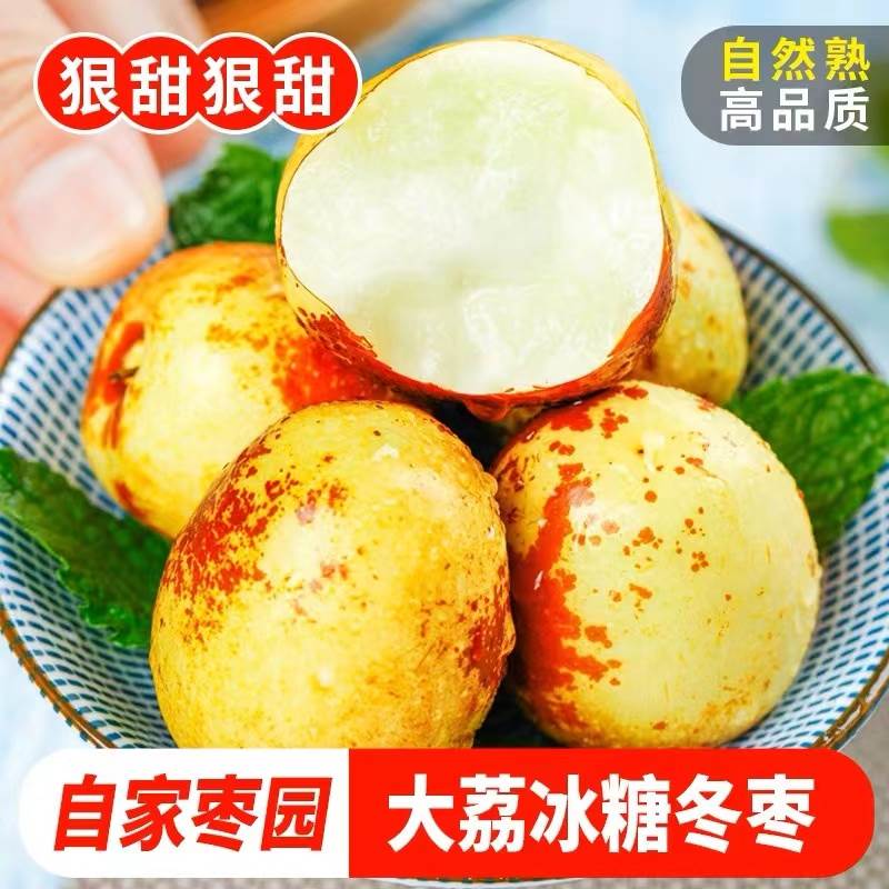 【时令】陕西大荔冬枣特大果精品脆甜枣子新鲜水果应当季时令生鲜水