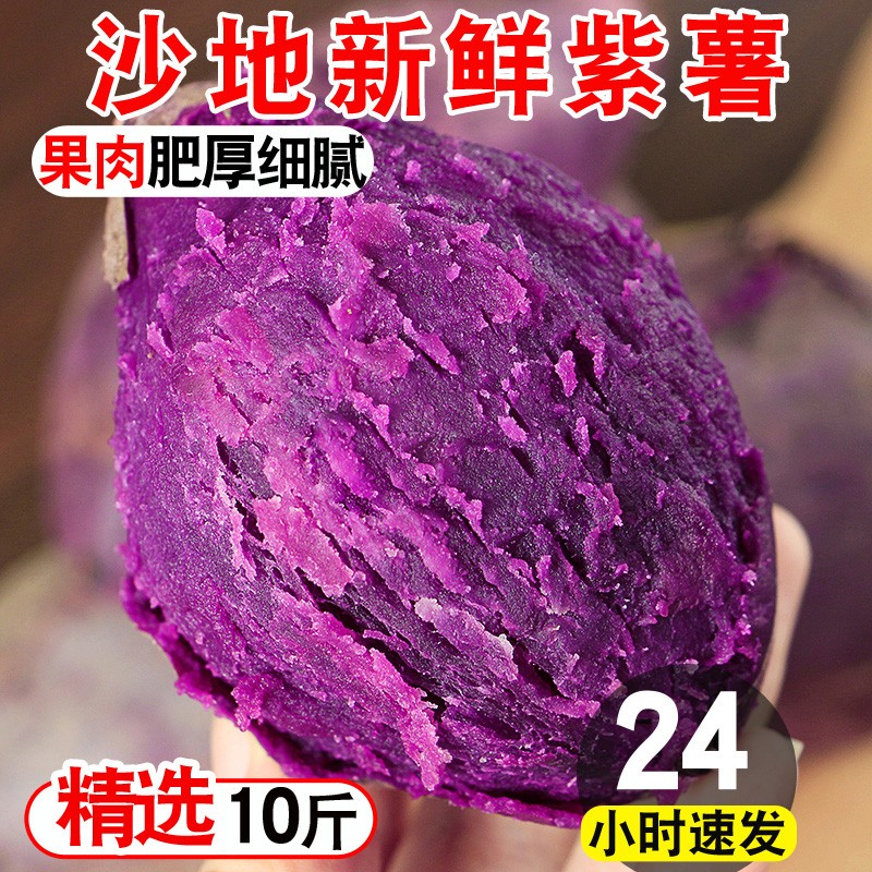 【时令】紫薯新鲜农家自种沙地现挖紫罗兰蜜薯糖心甜山芋番薯蔬菜地