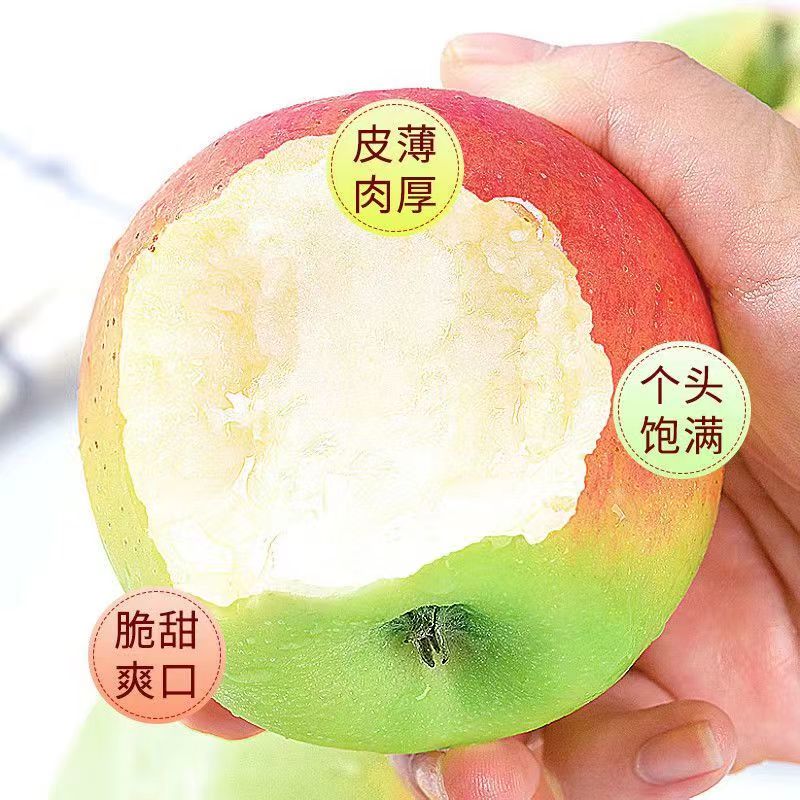 【时令】陕西嘎啦苹果水果新鲜当季整箱嘎拉青红小平果包邮