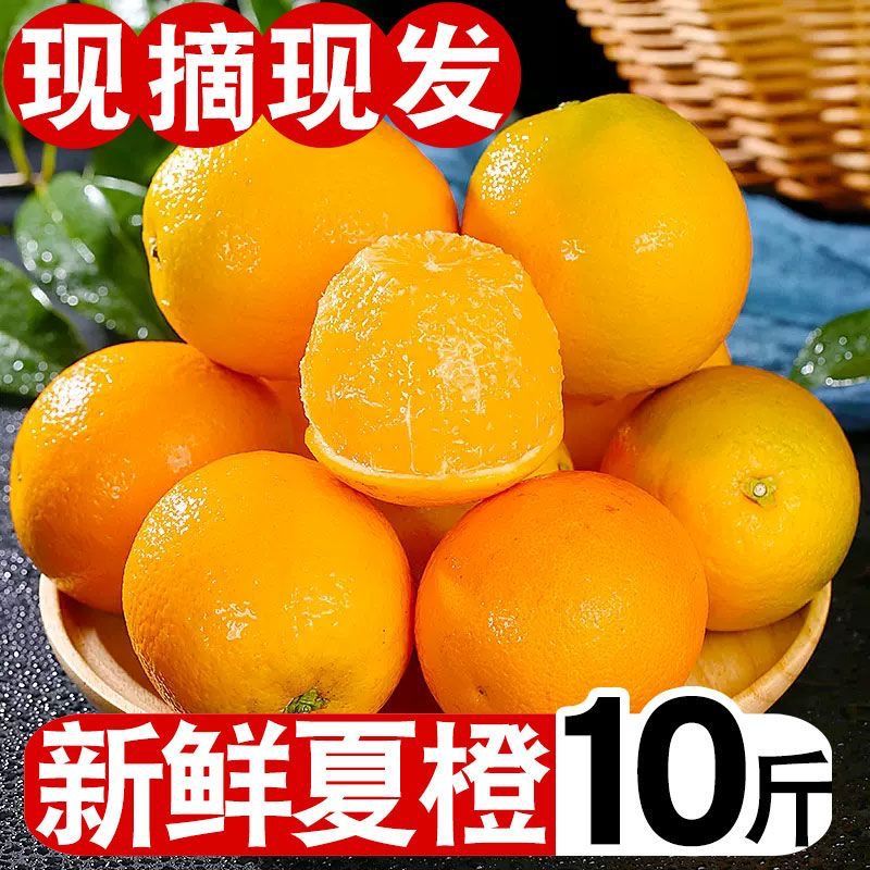 【时令】高山夏橙新鲜现摘橙子应季水果超甜薄皮秭归脐橙冰糖橙