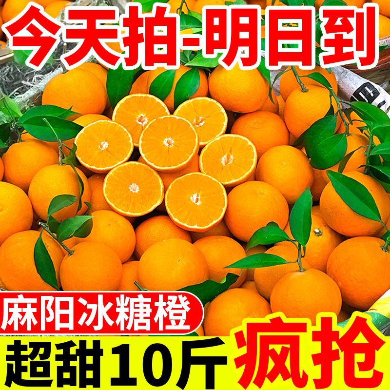 【时令】湖南麻阳冰糖橙当季新鲜水果超甜橙子现摘手剥甜脐橙批发