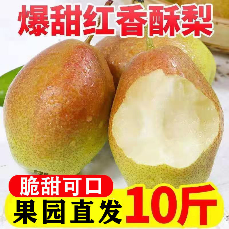 【时令】红香酥梨新鲜应季水果酥梨3/5/源自库尔勒香梨脆甜皮薄梨子