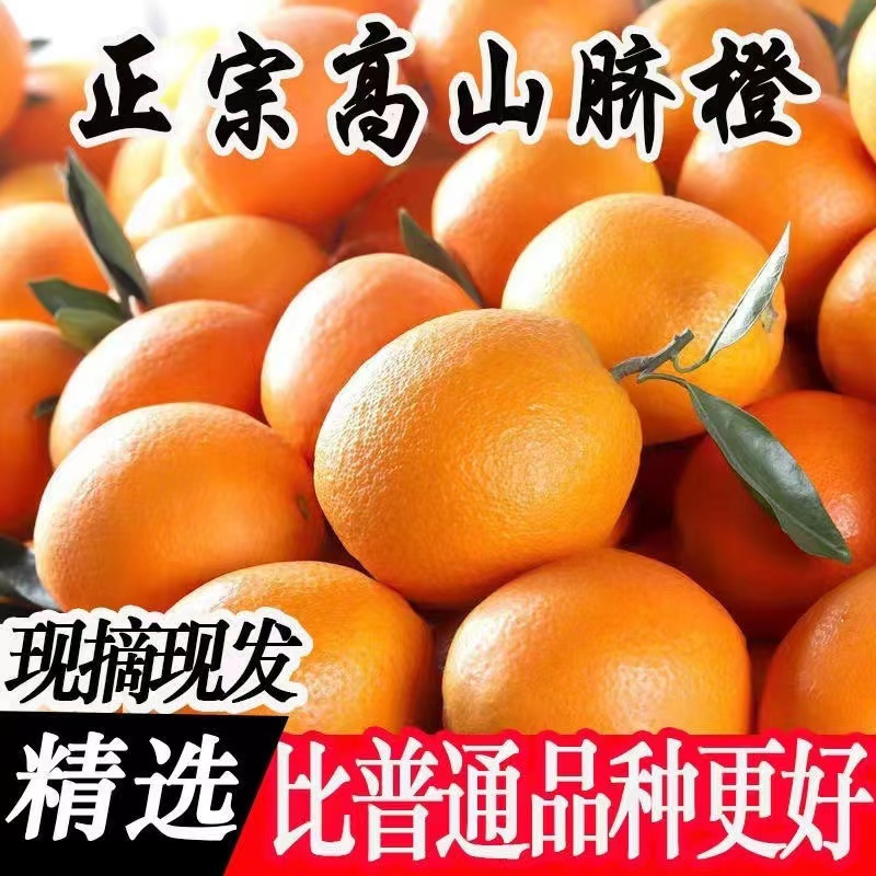 【时令】当季橙子高山脐橙新鲜水果冰糖甜橙榨汁整箱批发非江西赣南