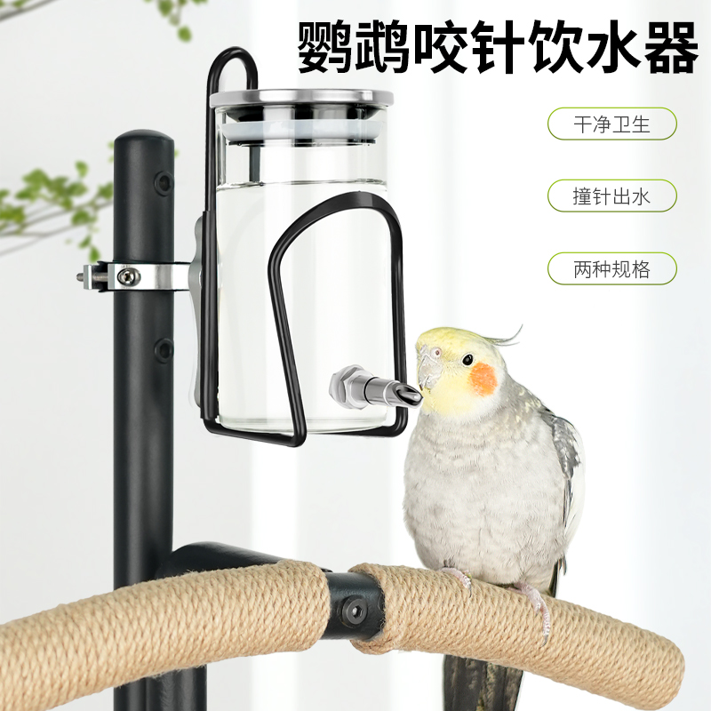 鹦鹉撞针水壶鸟饮水器自助喝水铜嘴玻璃不锈钢盖加大容量升级咬针