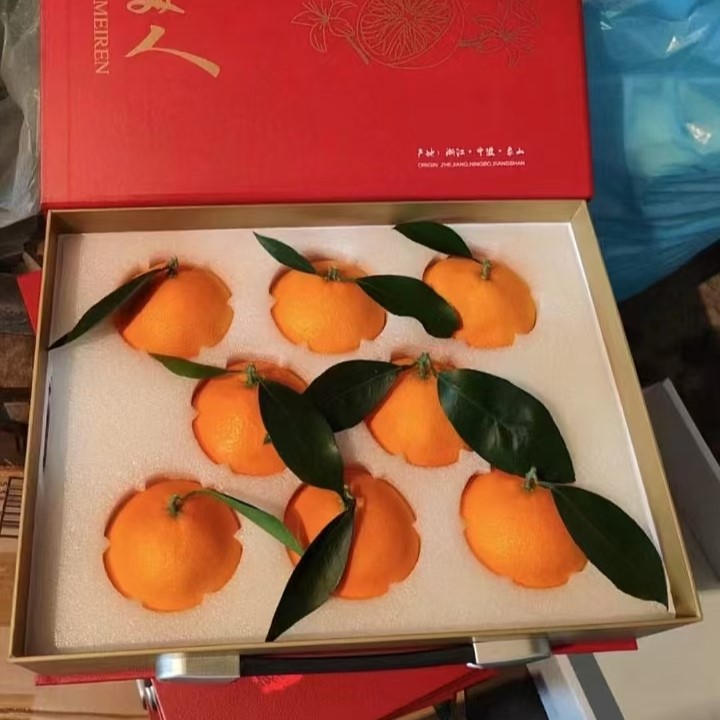 红美人柑橘 5斤装甜如蜜汁入口即化