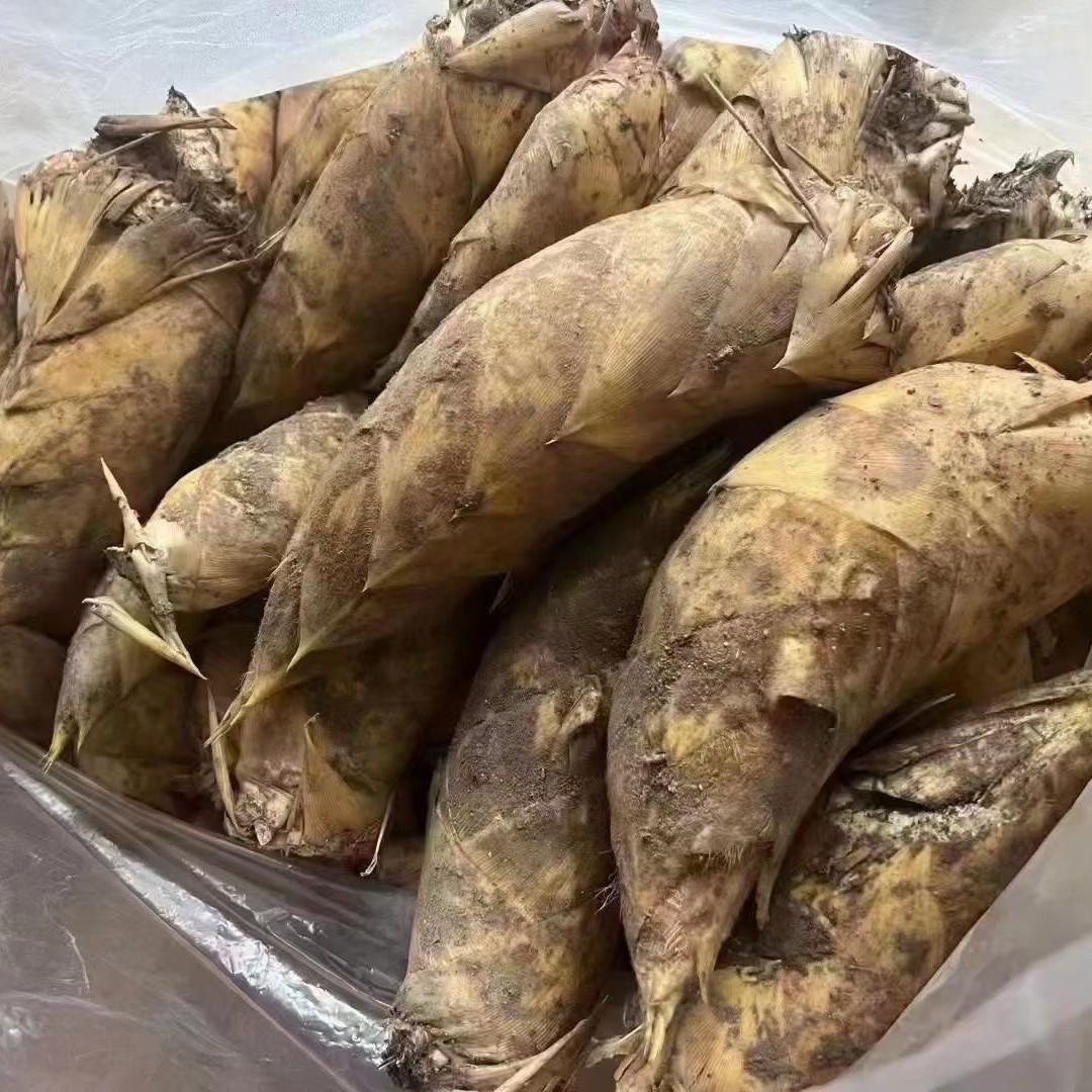 江西广丰铜钹山农家自己做的手工笋干