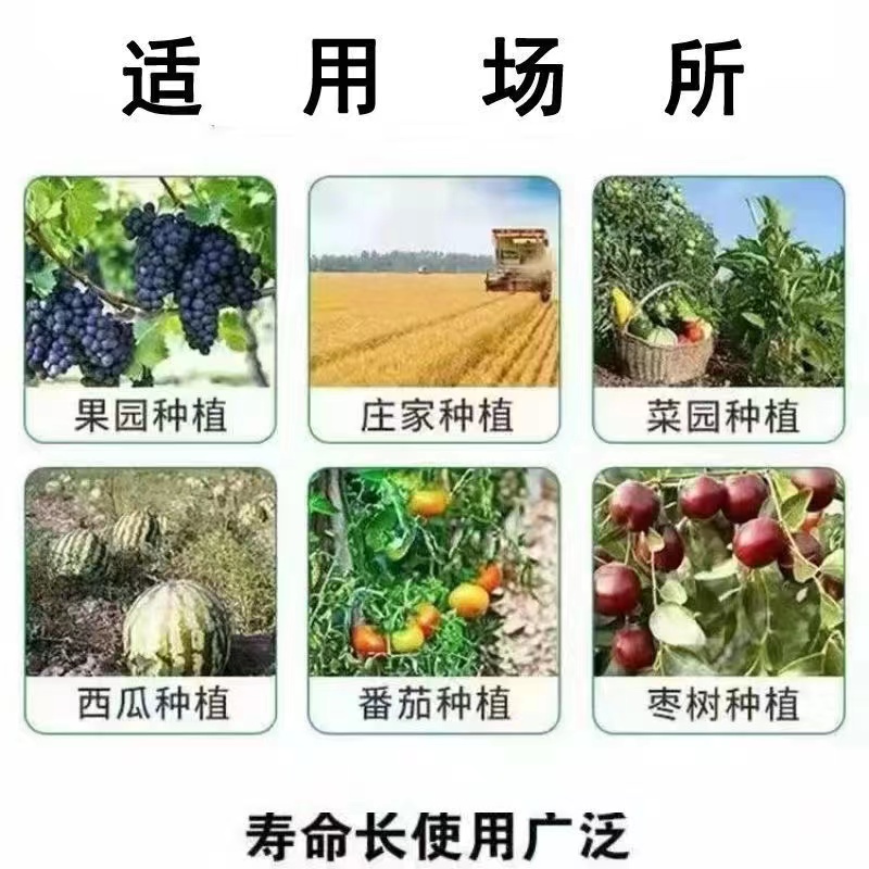 果园防鸟网果树防鸟用网大棚尼龙线防鸟网养鸡尼龙网养殖天网鱼塘