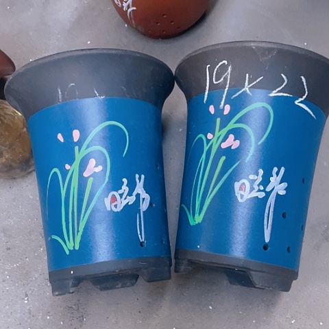 红陶20CM（含）-50CM（不含）紫砂紫砂