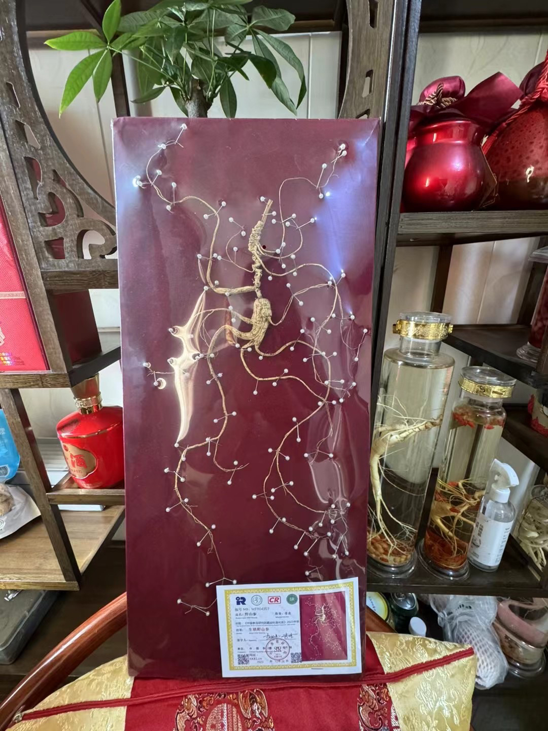 林下参礼盒 干参