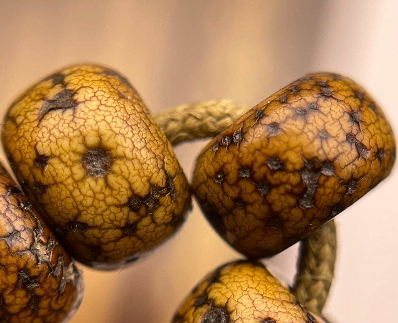 菩提精美饰品盲盒