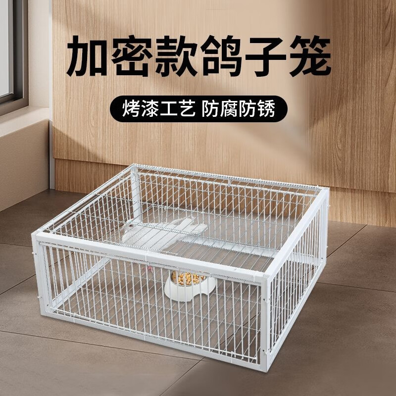 鸽子笼只进不出自动收鸽子神器天落笼加密收鸽笼活络门撞钓鱼用具