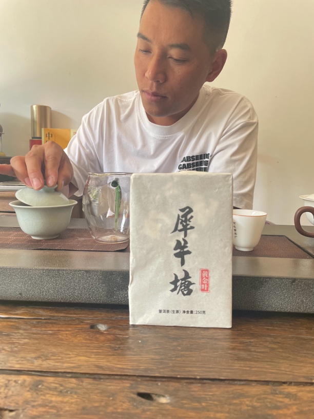 2023年犀牛塘古树头春黄金叶福利普洱生茶散茶250g