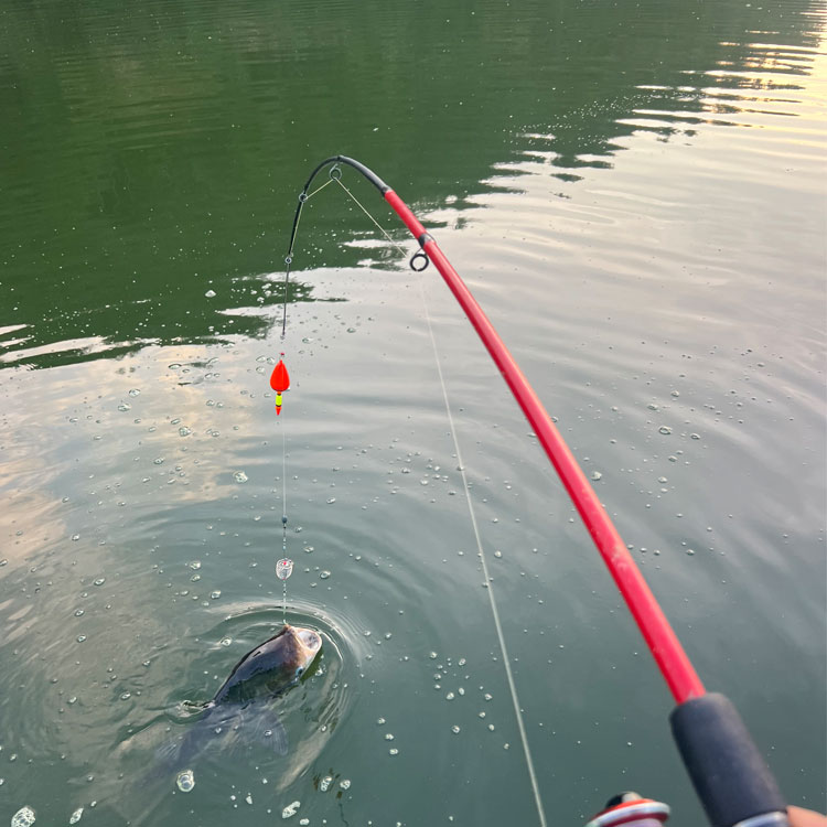 远投路亚鱼竿全套配齐路滑杆