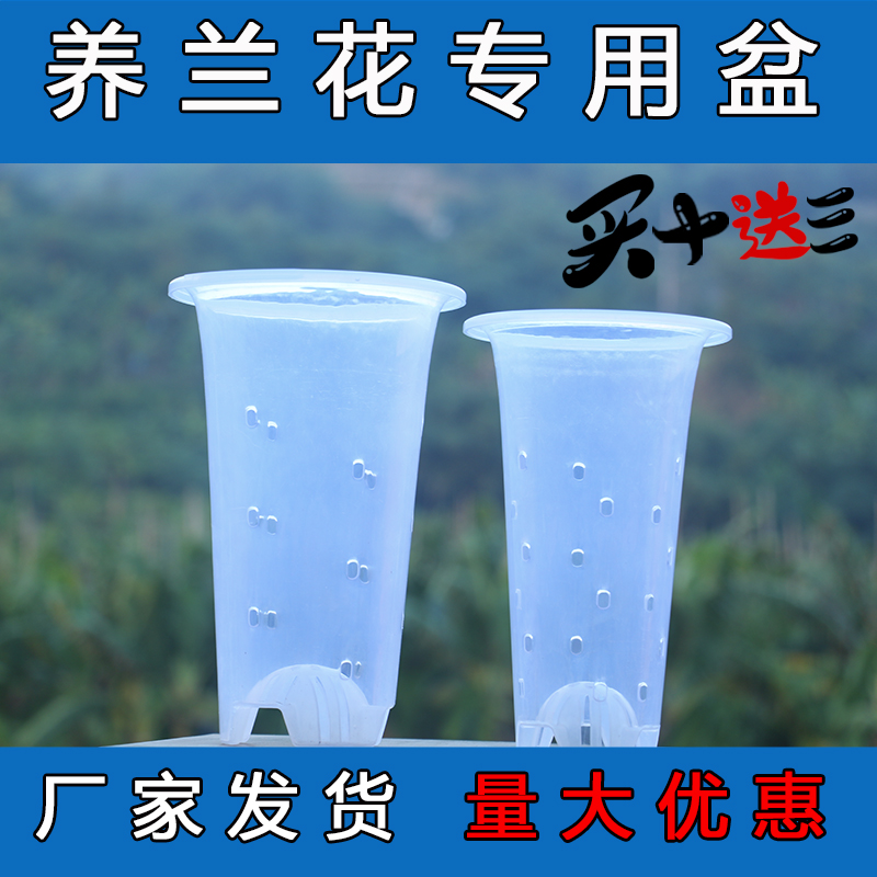 蘭松阁塑料 侧孔透明盆 兰花草专用盆养根透气无测孔兰花盆四季兰