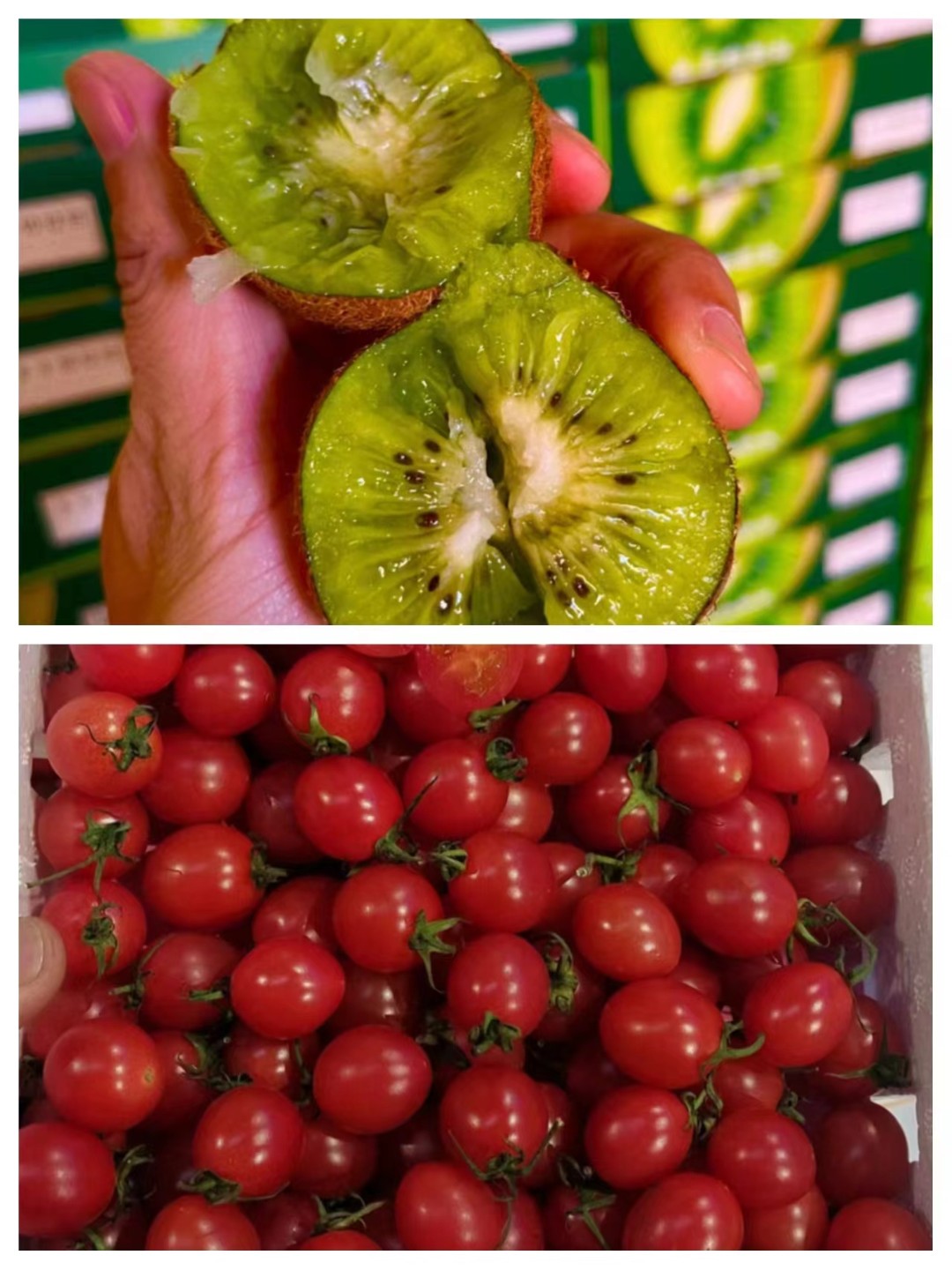 瑞玉奇异果＋千禧