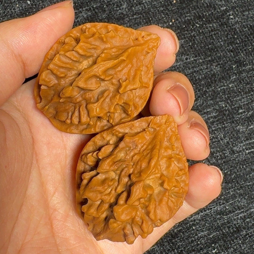 精选文玩核桃东北楸子好物山地满天星大核桃纯野生手把件文玩核桃