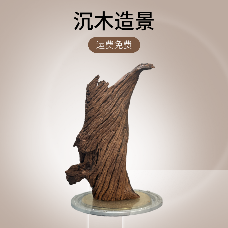 紫柚木（30￥~50￥链接）沉木造景