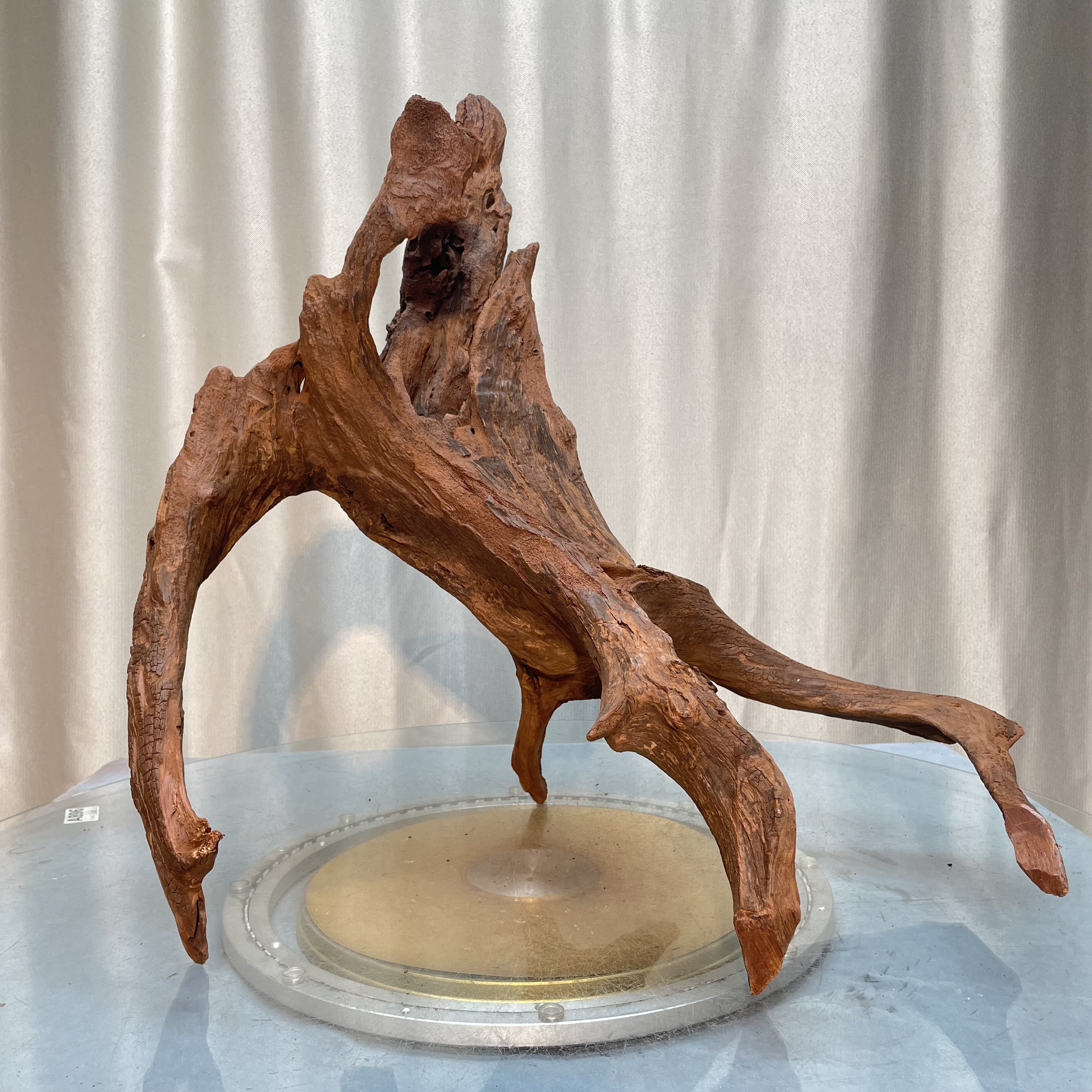 水木缘鱼缸造景紫柚木