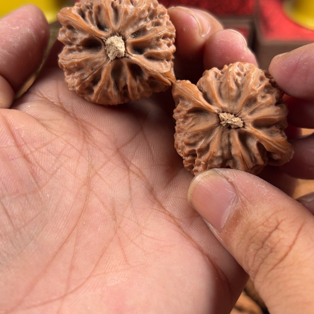 【闪购商品】核桃核雕?***隆