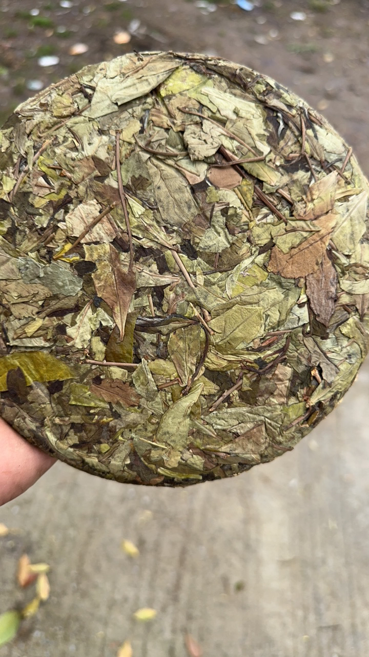 福鼎白茶2021年知青荒野贡眉饼300克（335号）