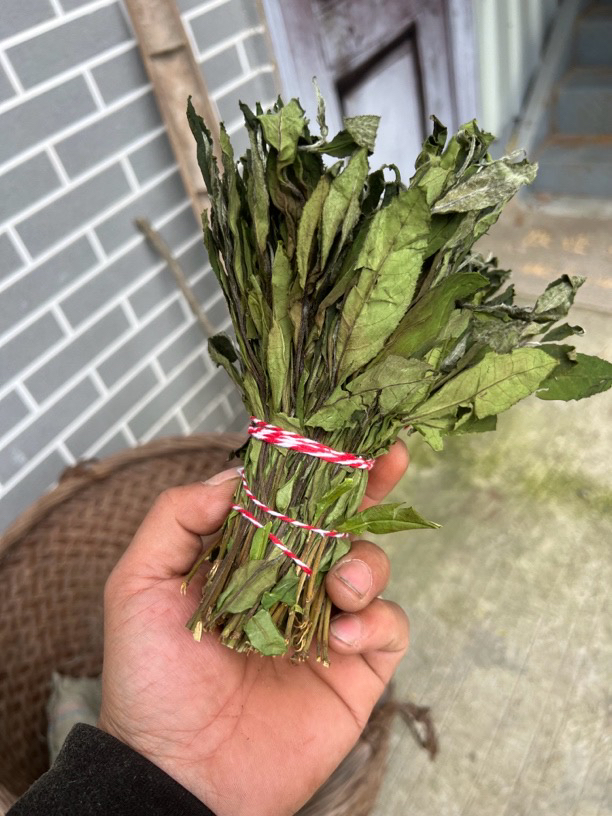 福鼎白茶2024年荒野扫把茶 