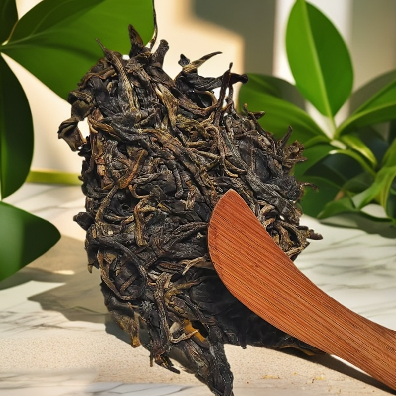 正气塘古树春茶200g生茶饼组合