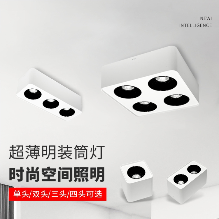 LED明装筒射灯防眩斗胆灯四头客厅双头灯12W24W48瓦极简主灯家装