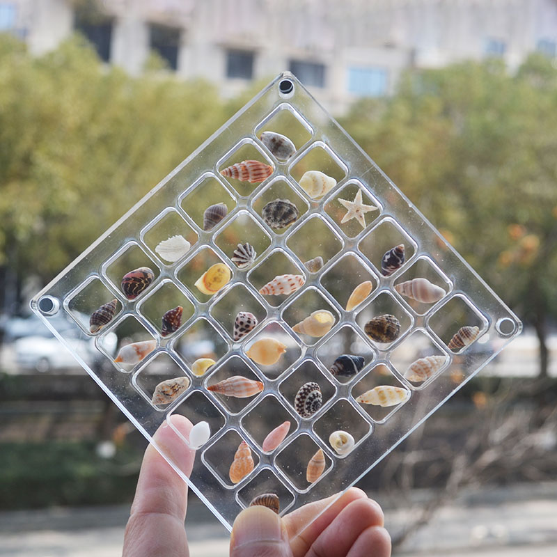 ​​​​​​​天然贝壳菲律宾贝沙微小贝套装盒装收藏相框DIY桌面ins