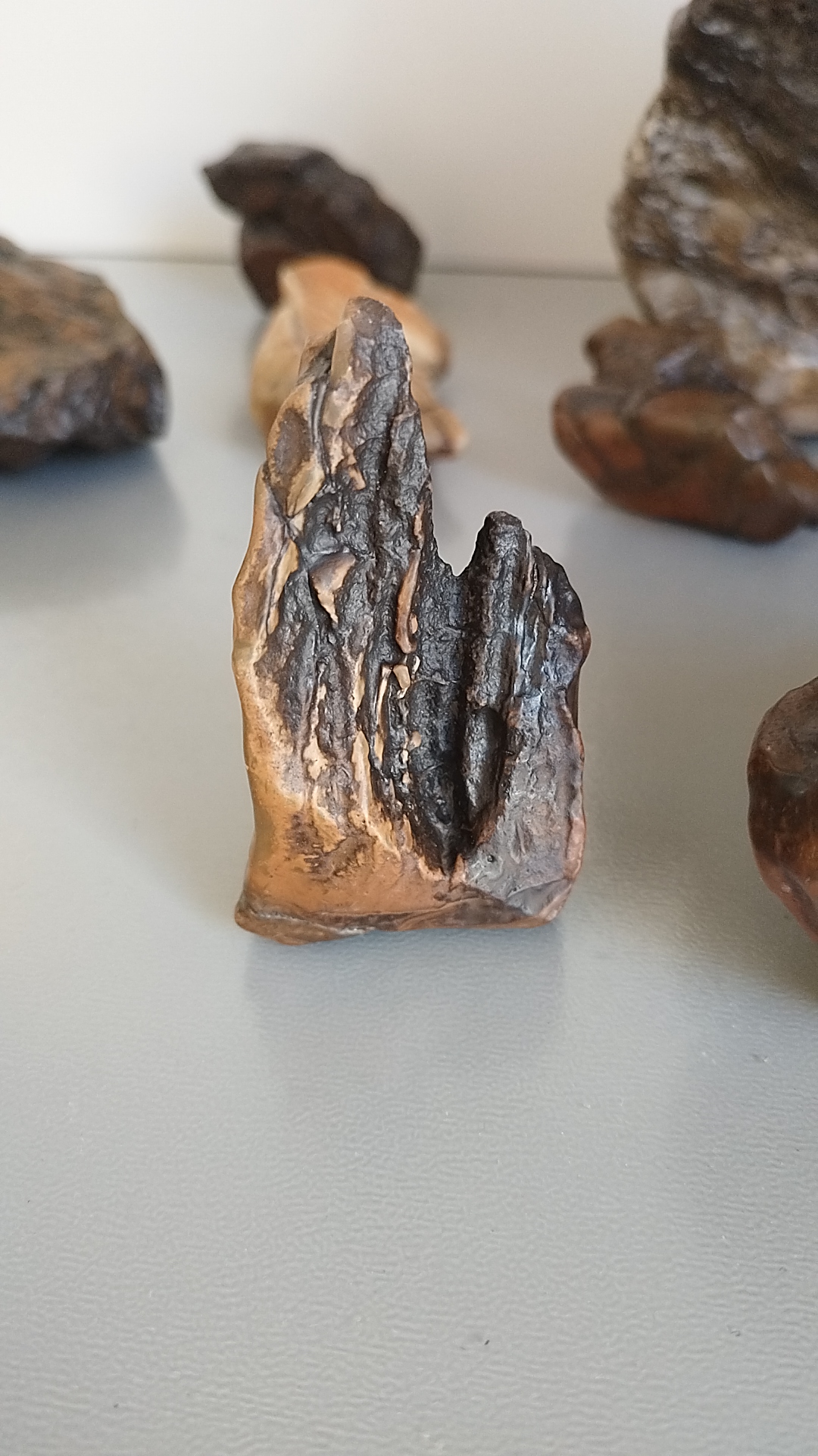 戈壁石，银根，象形小精品山行摆件