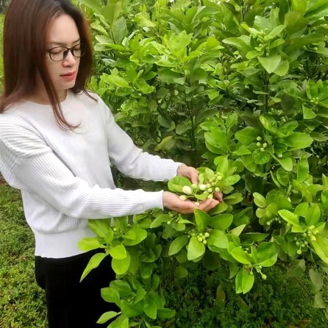 园艺用品农用物资物品