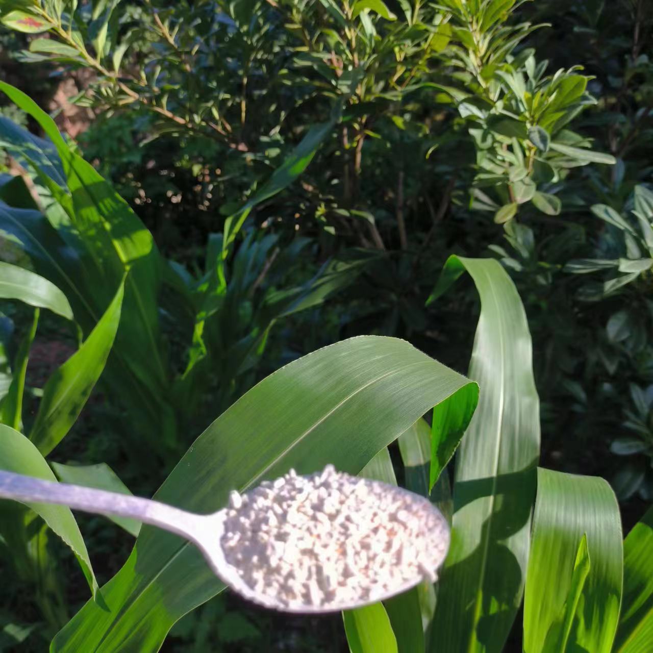 云南土特产-【现收特产-葛梗粉500g】