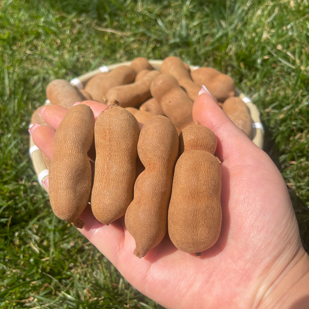 老少皆宜云南特产甜酸角天然果脯罗望子休闲儿童零食新鲜产地发货