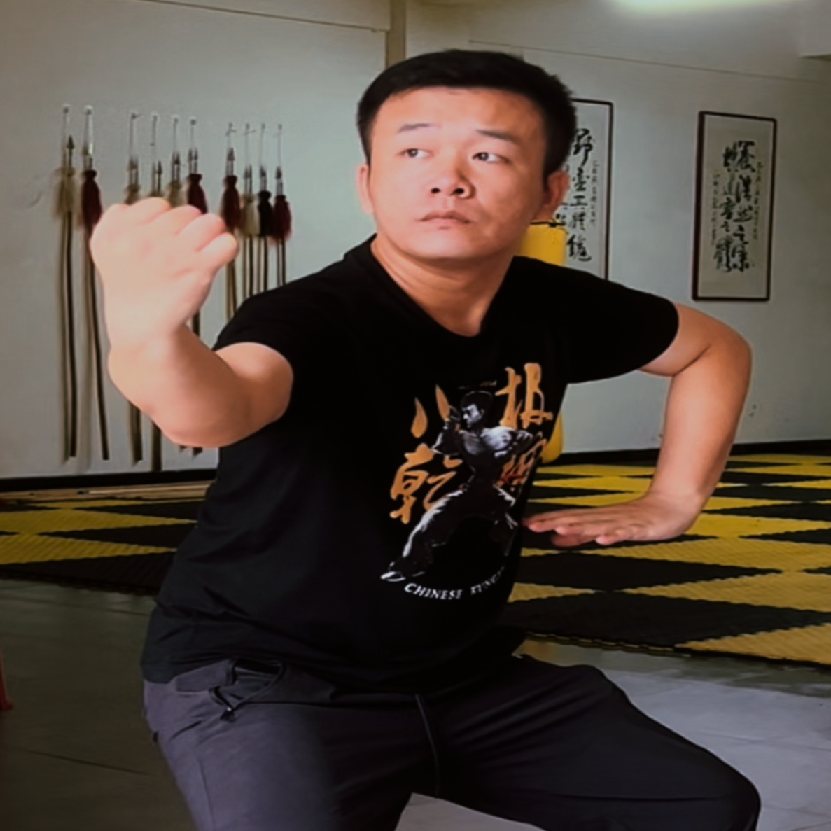 八极拳入门精要讲义